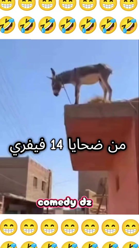 TikTok video thumbnail by comedy.dz3