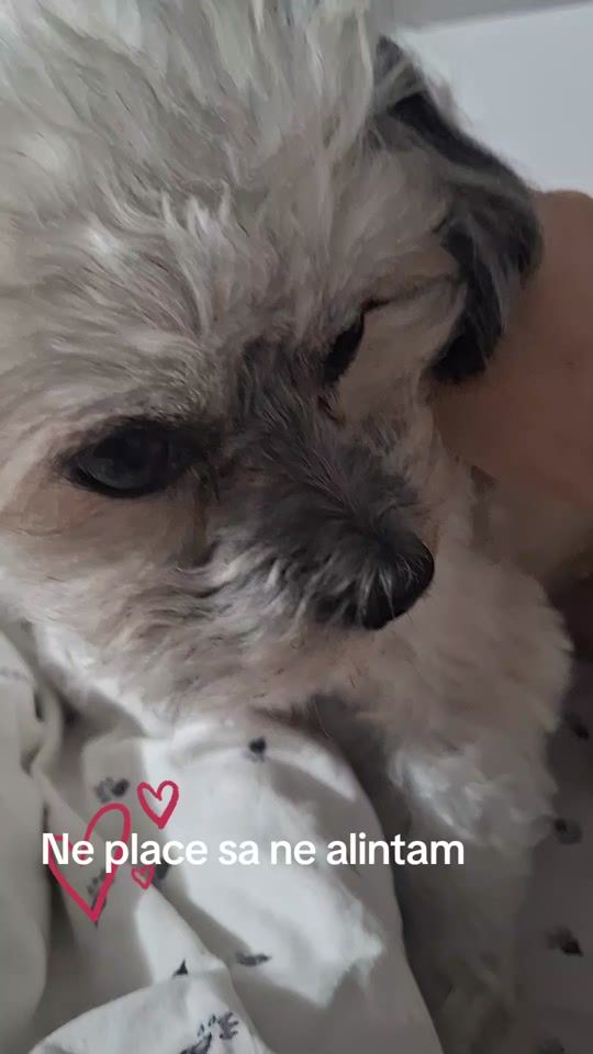 TikTok video thumbnail by lenuelena17