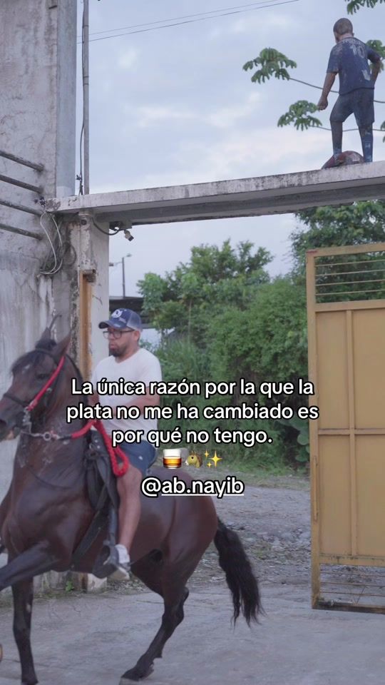 TikTok video thumbnail by reyesdelcaballoparqueado
