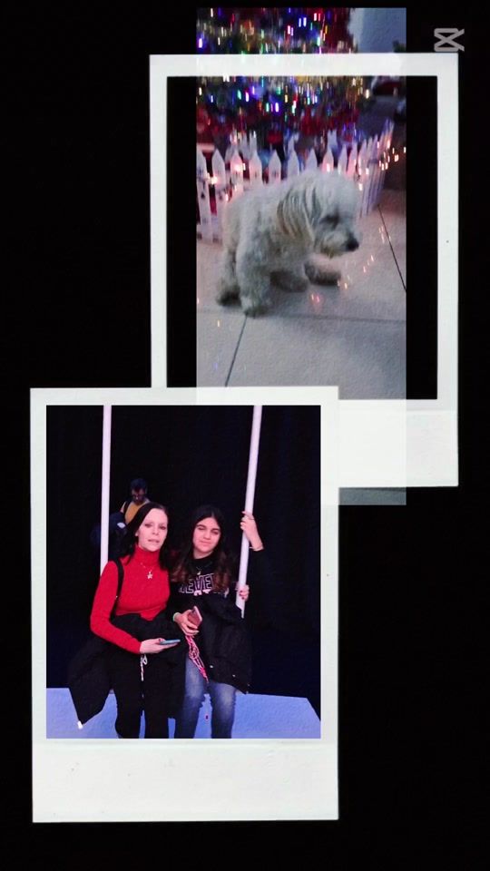 TikTok video thumbnail by massimorochira