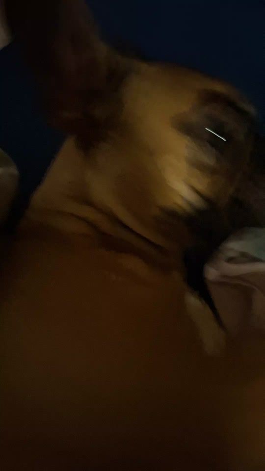 TikTok video thumbnail by _seinekoenigen