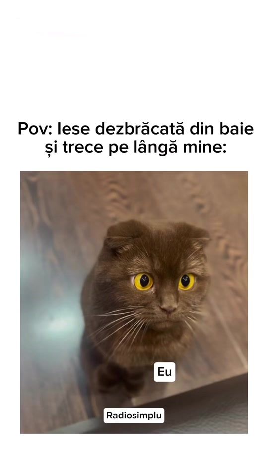 TikTok video thumbnail by radiosimpluro