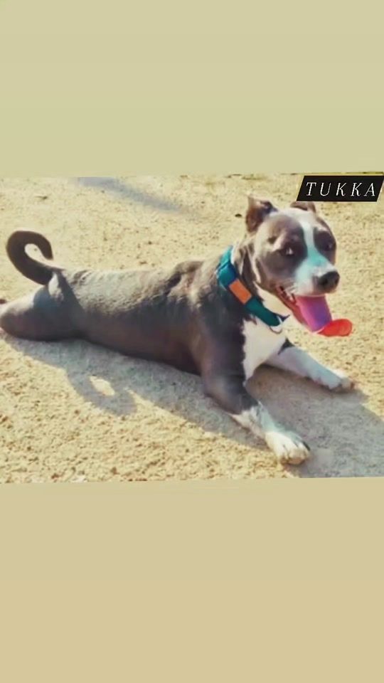 TikTok video thumbnail by lmpa27