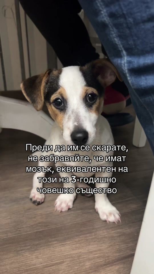 TikTok video thumbnail by mailo436