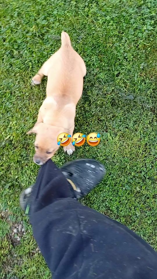 TikTok video thumbnail by zoli78008