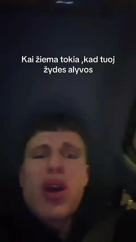 TikTok video thumbnail by sapnuoktyliai