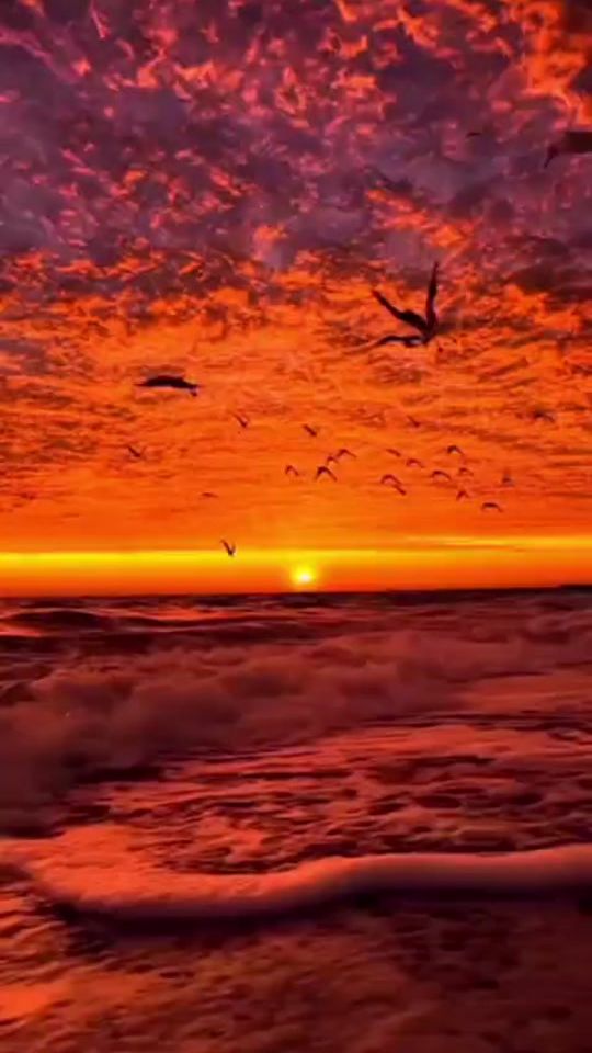 TikTok video thumbnail by lidusha8782