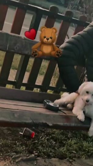 TikTok video thumbnail by mateialexandra17