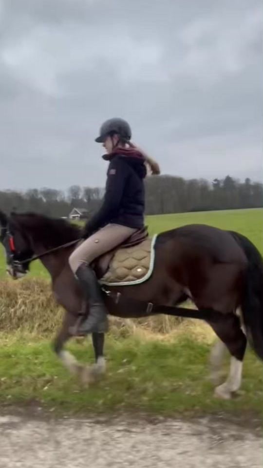 TikTok video thumbnail by equixemily_