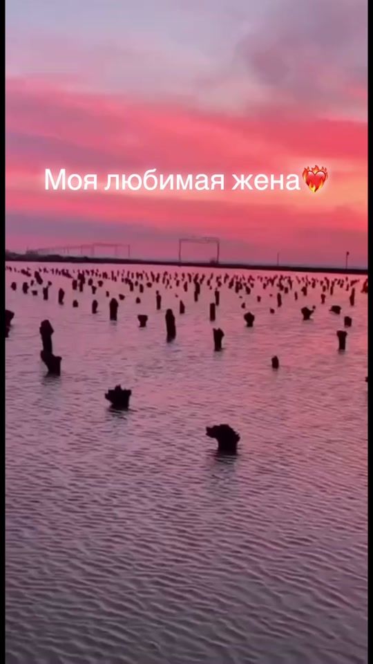 TikTok video thumbnail by aigul2647