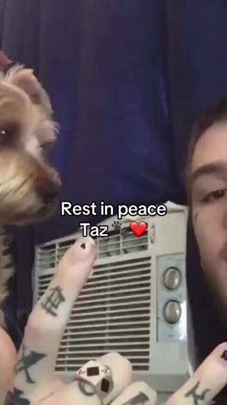 TikTok video thumbnail by yungdumbgoth