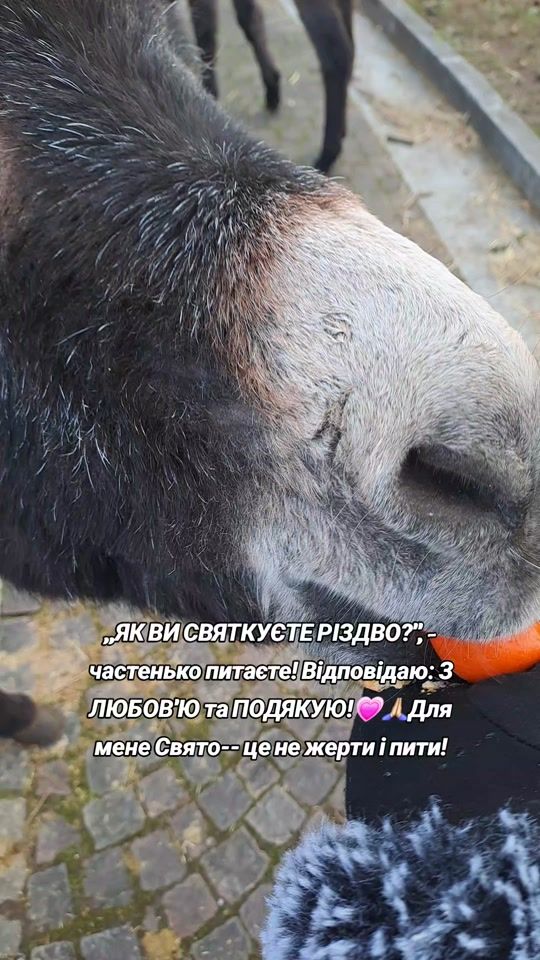 TikTok video thumbnail by svidolena