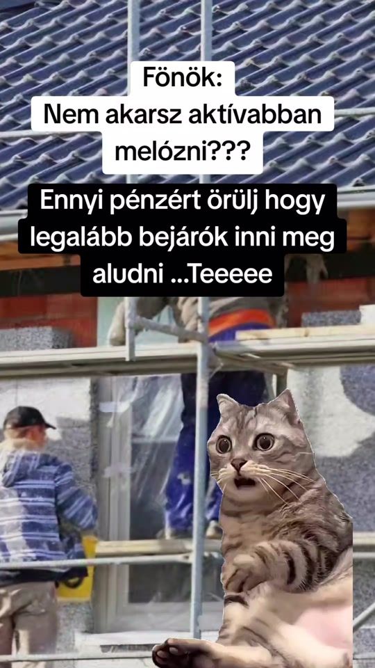 TikTok video thumbnail by dr.suti.trefa.repa