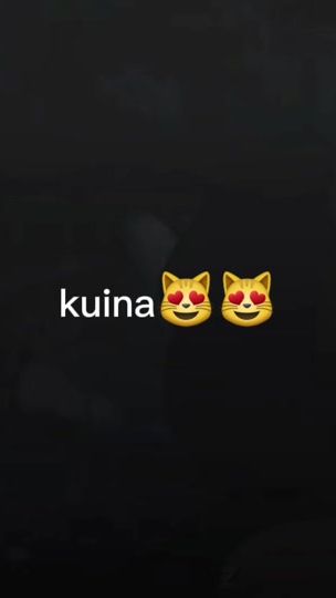 TikTok video thumbnail by diewildehilde23