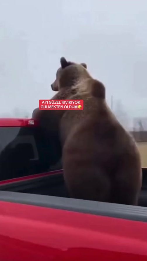 TikTok video thumbnail by berksan_48