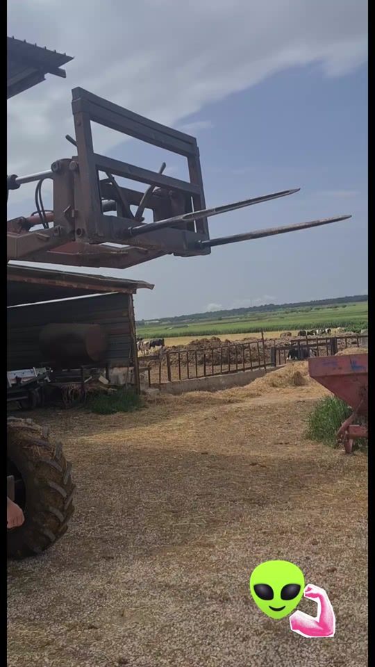 TikTok video thumbnail by antonioloforese3