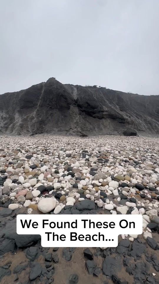 TikTok video thumbnail by yorkshire.fossils