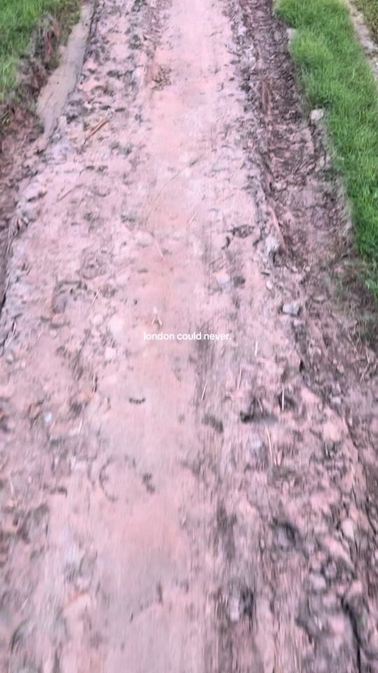 TikTok video thumbnail by chishty.equine