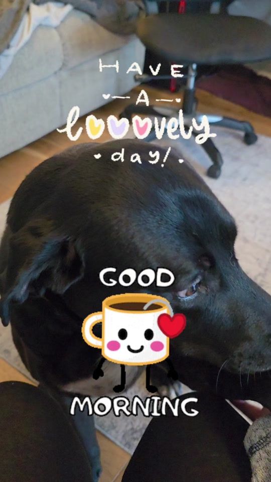 TikTok video thumbnail by scottishboymum