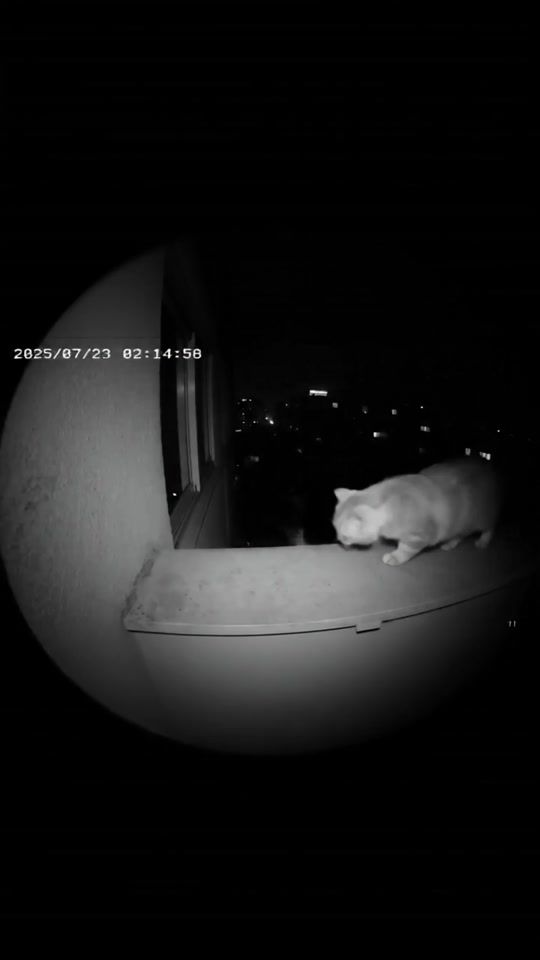TikTok video thumbnail by ogsyde