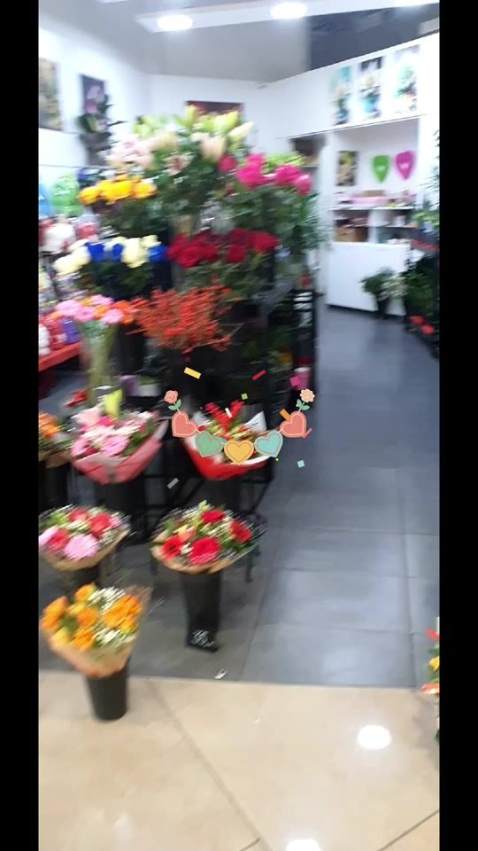 TikTok video thumbnail by nor.s0