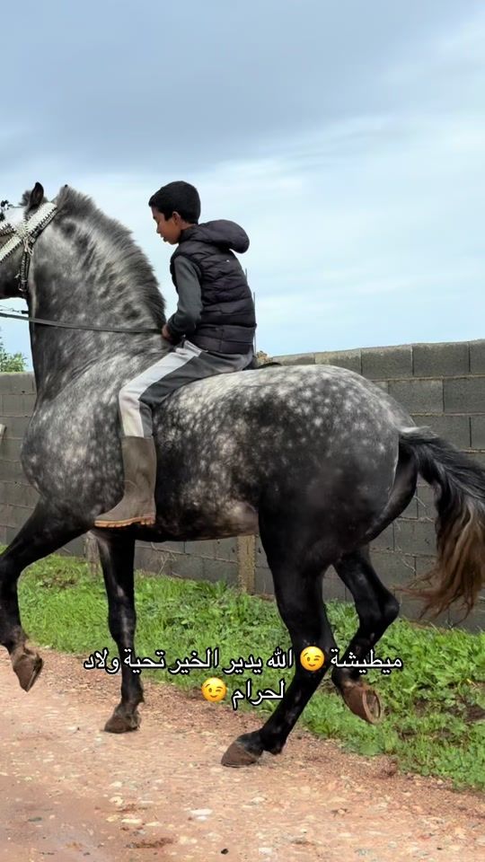 TikTok video thumbnail by ayoub.chemrah8