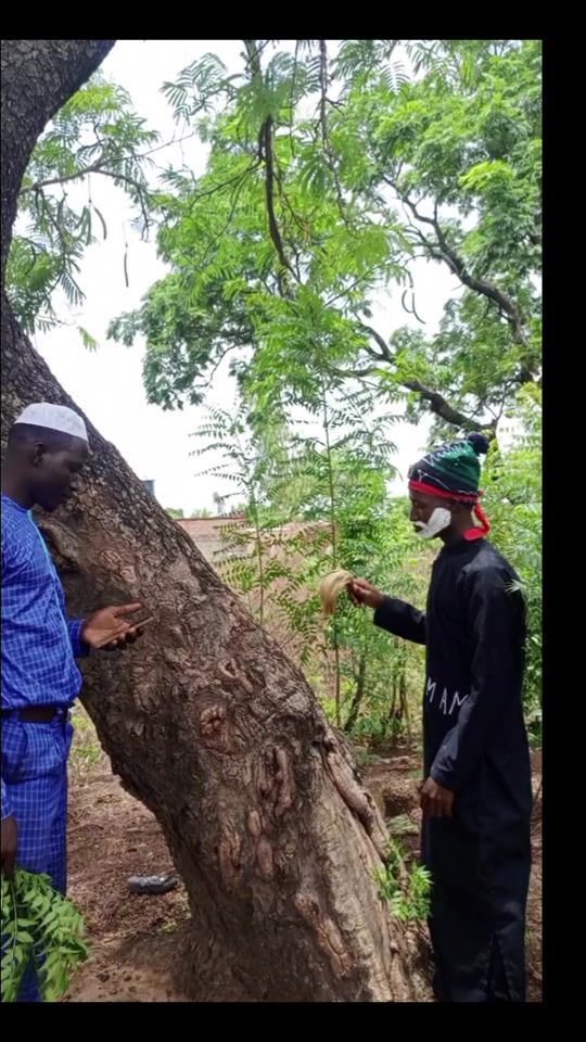 TikTok video thumbnail by malbassir