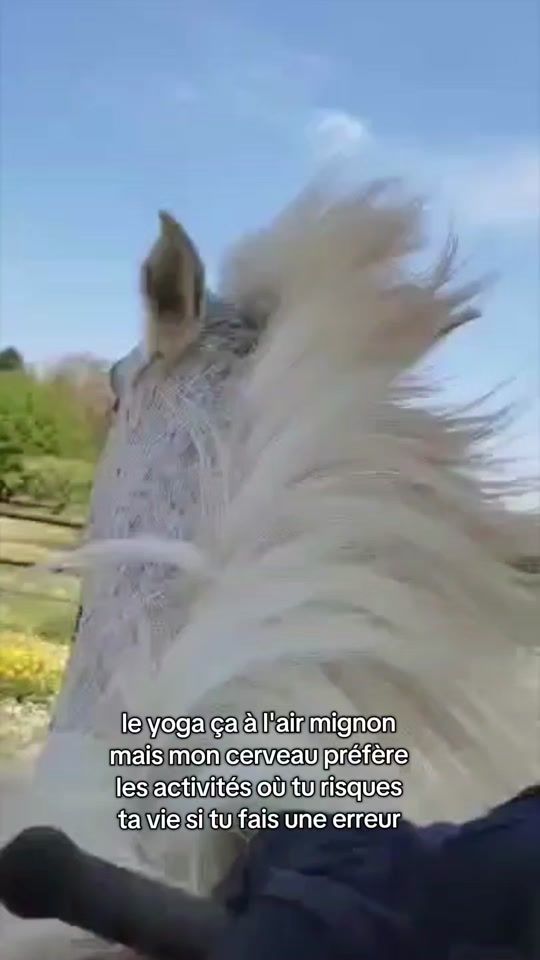 TikTok video thumbnail by vava_2319