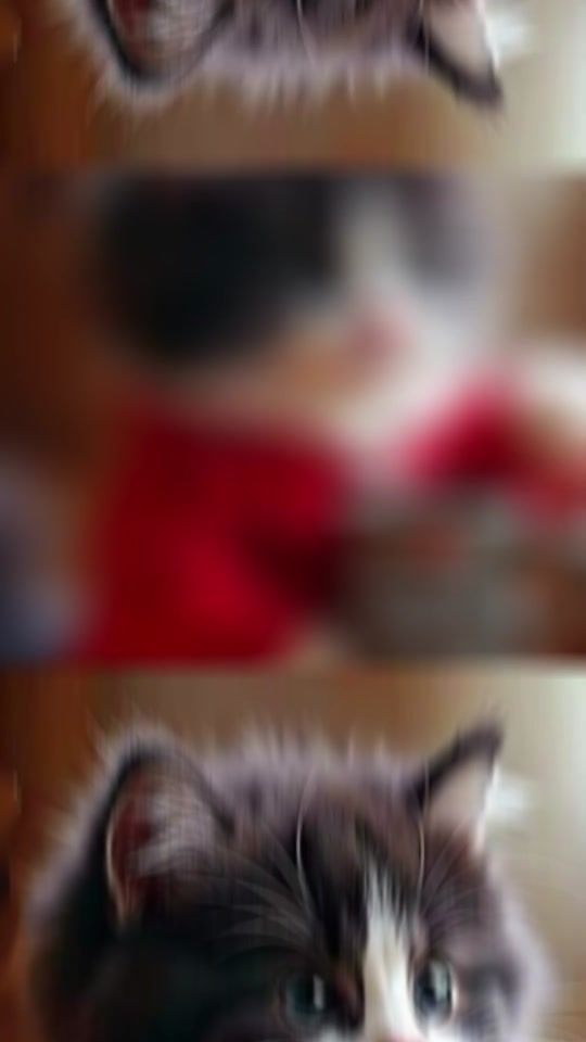 TikTok video thumbnail by filippo.della.mon