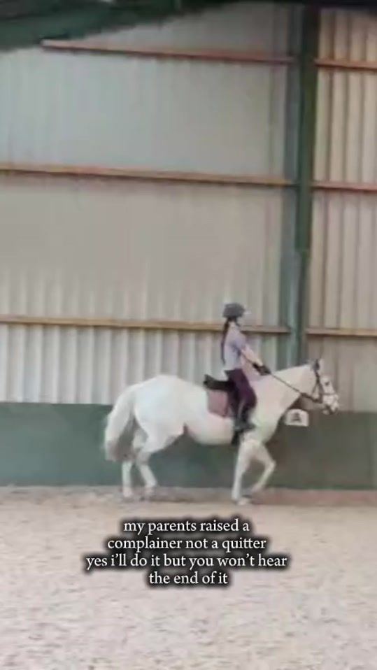 TikTok video thumbnail by foally.142