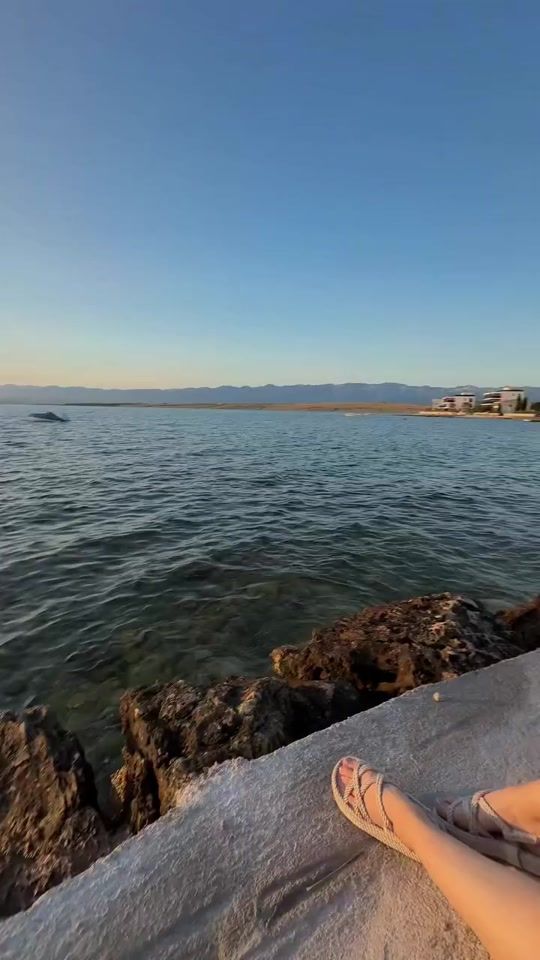 TikTok video thumbnail by alfa8384