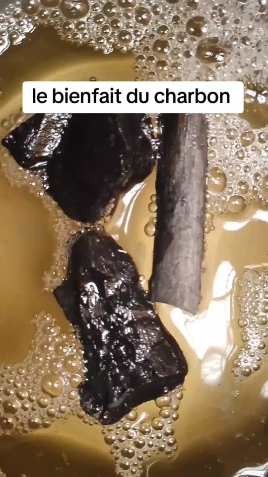 TikTok video thumbnail by secret_des_plantes_777