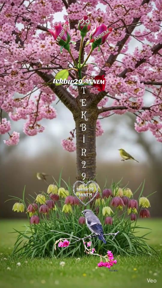 TikTok video thumbnail by tekbir2929