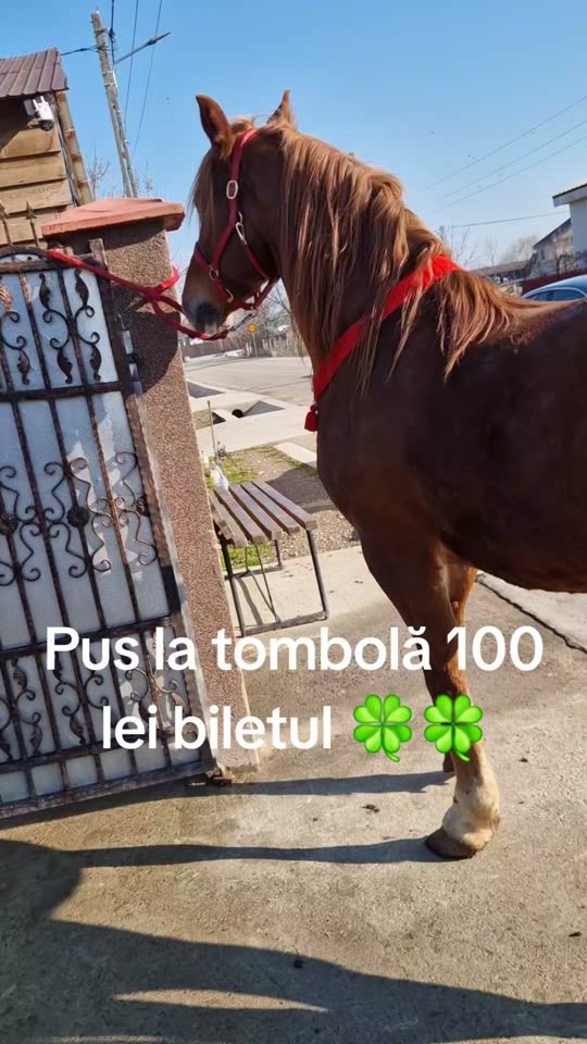 TikTok video thumbnail by andreiivan182