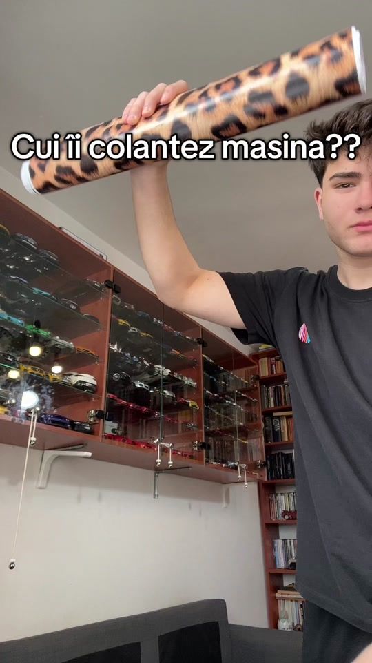 TikTok video thumbnail by stefan._valeanu