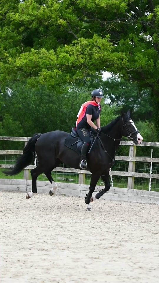 TikTok video thumbnail by tgs.equestrian