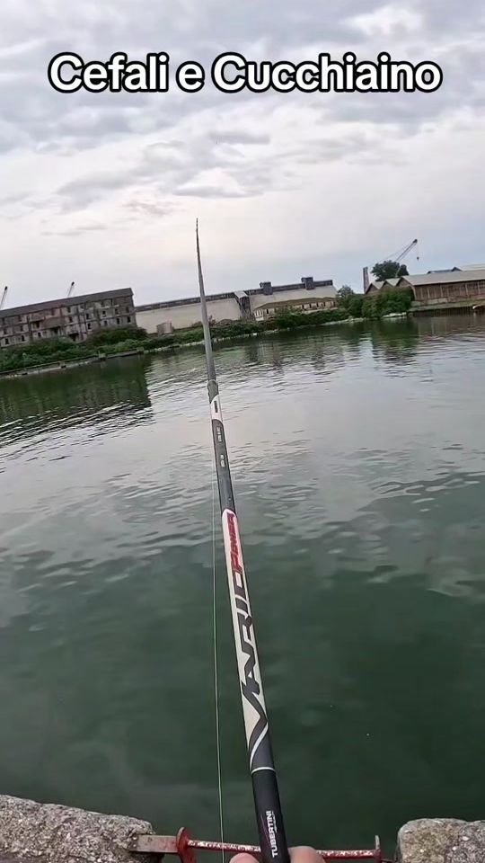 TikTok video thumbnail by mauryargentino