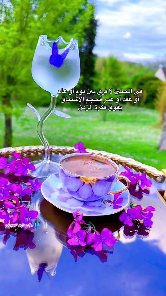 TikTok video thumbnail by abeer.alaoda