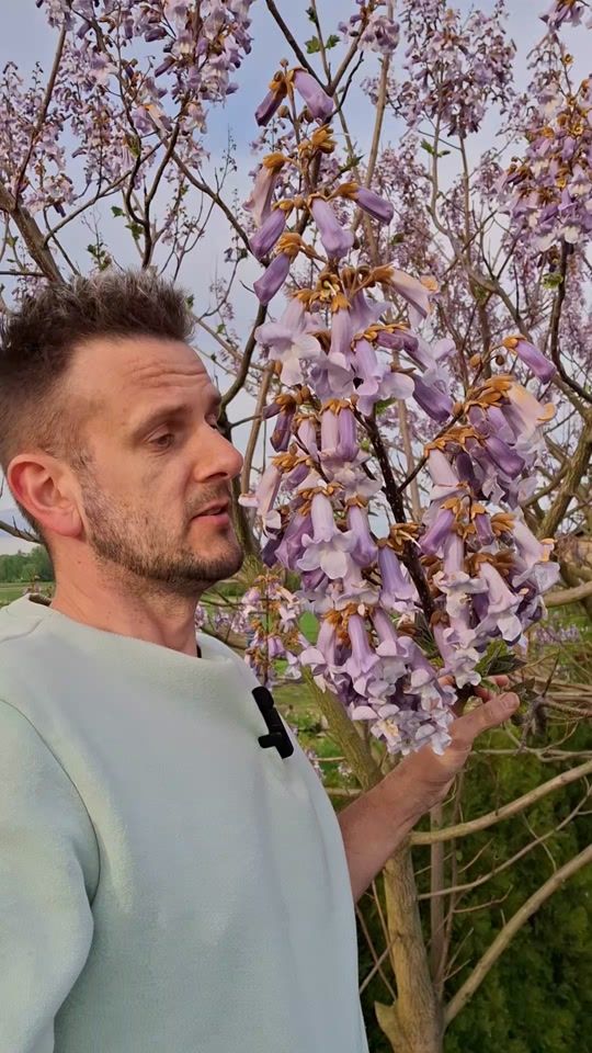 TikTok video thumbnail by flowerman_marcin