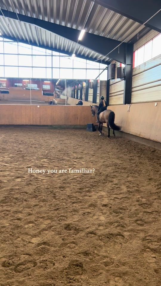 TikTok video thumbnail by isa_equi