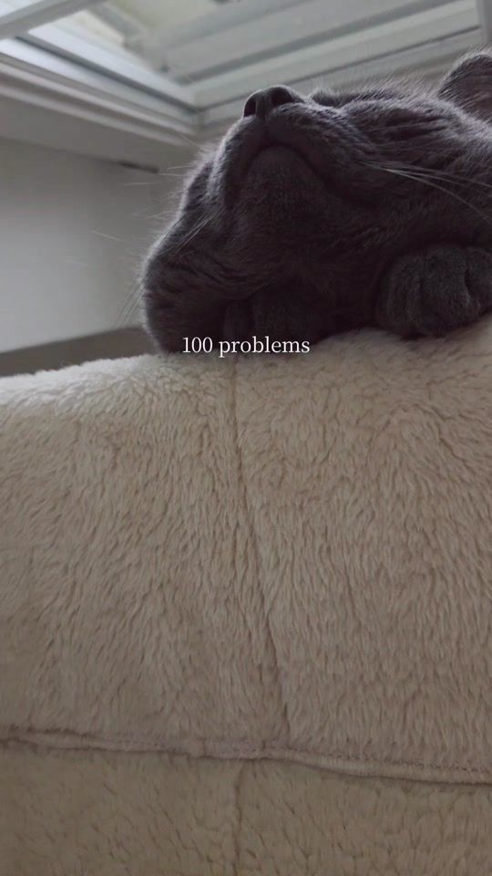 TikTok video thumbnail by miro56951
