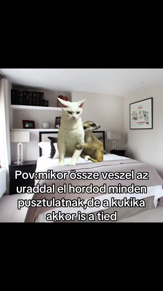 TikTok video thumbnail by bokadavid28