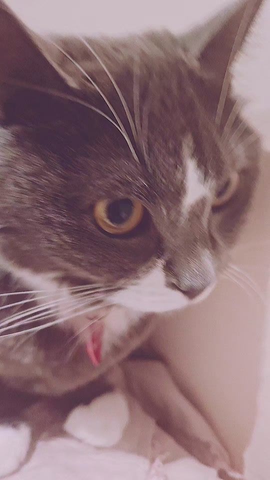 TikTok video thumbnail by alla25764