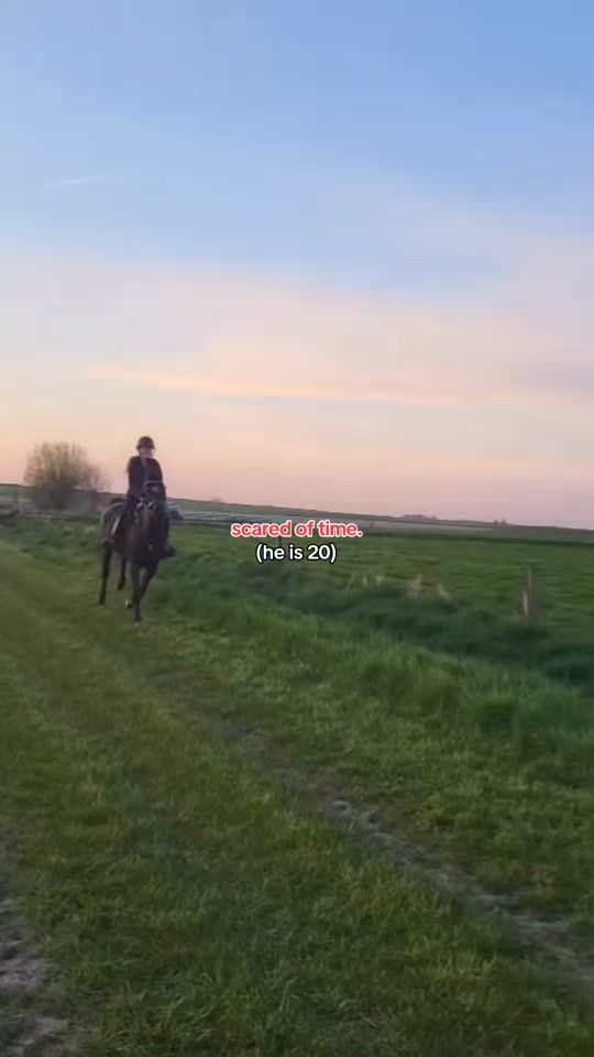 TikTok video thumbnail by c.alimero