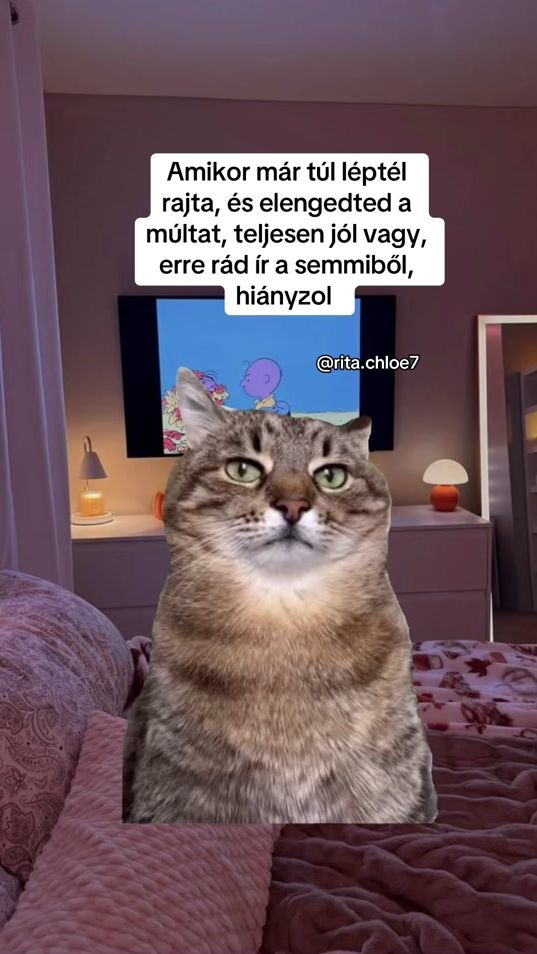 TikTok video thumbnail by rita.chloe7