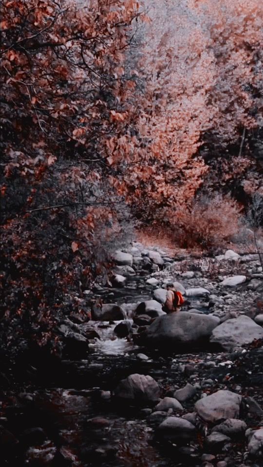 TikTok video thumbnail by parwez_k
