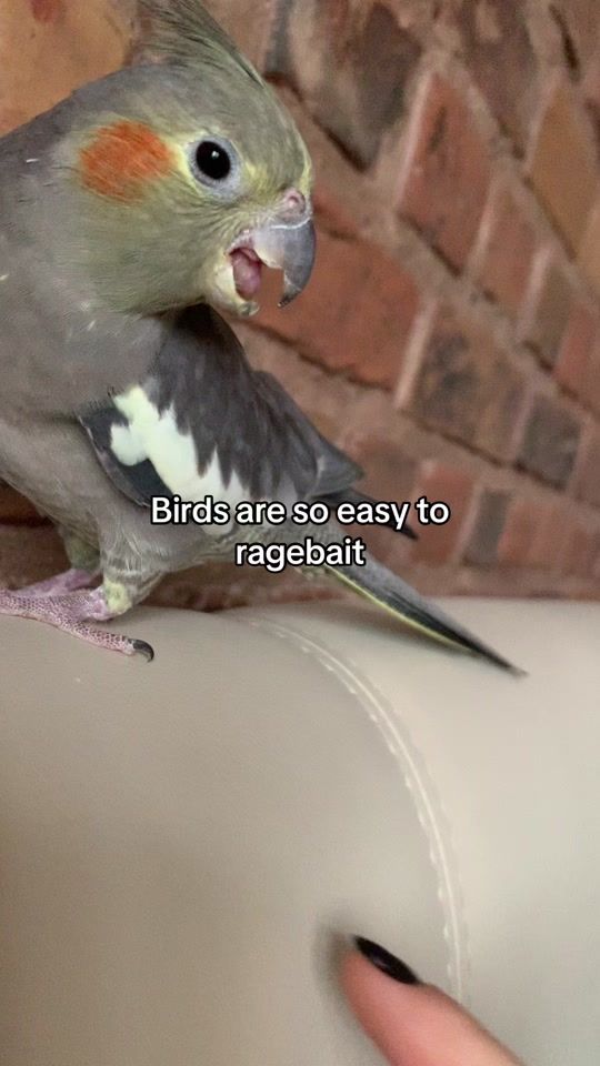 TikTok video thumbnail by ki4xia