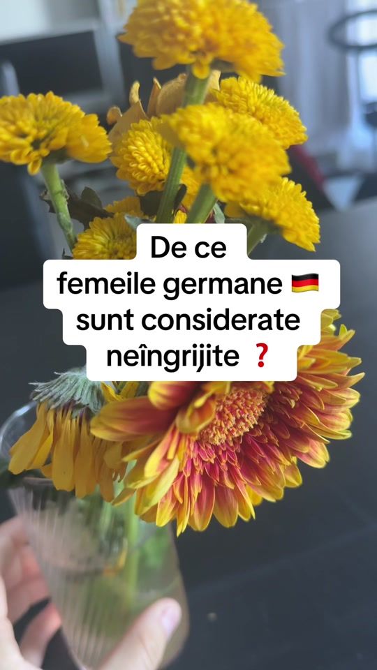 TikTok video thumbnail by unter_der_sonne
