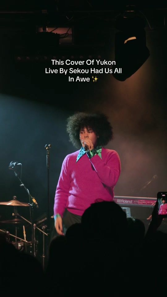 TikTok video thumbnail by sekousworld