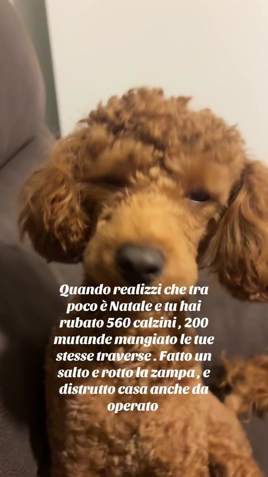 TikTok video thumbnail by michelasperanza6